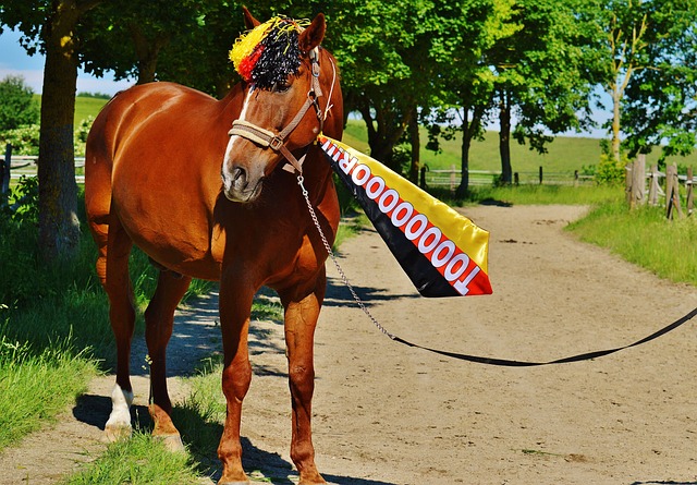 人们总能找 人们总能找