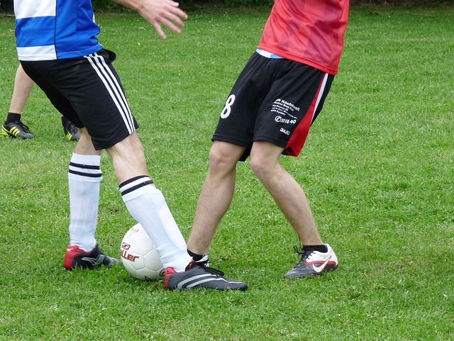 的心理状态 的心理状态