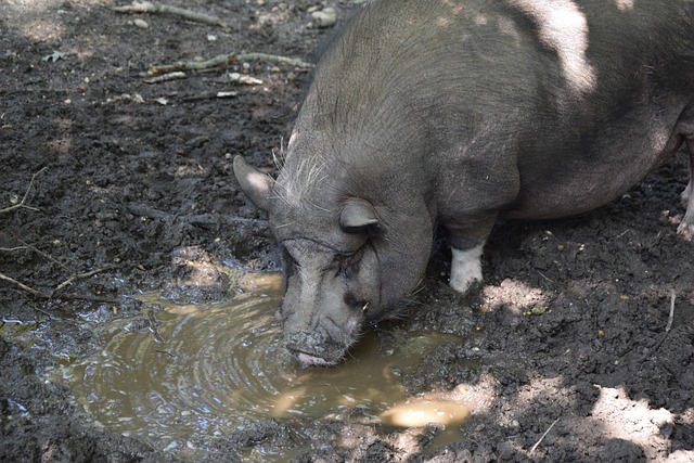 也提醒我们 也提醒我们