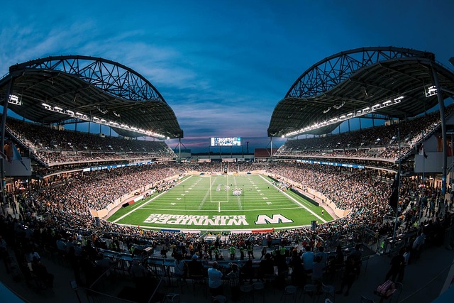 莱昂纳德的 莱昂纳德的