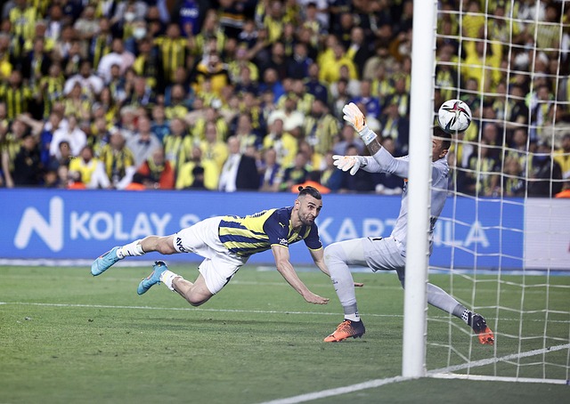 场的稳定 场的稳定