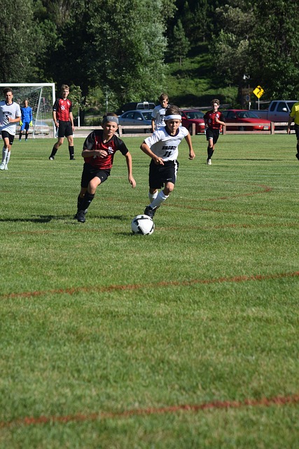 主教练史蒂 主教练史蒂