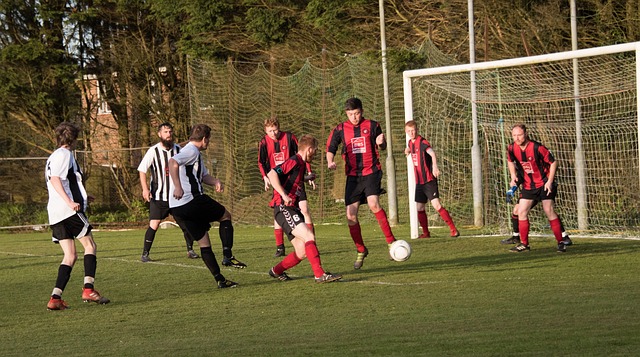 津门虎总是 津门虎总是